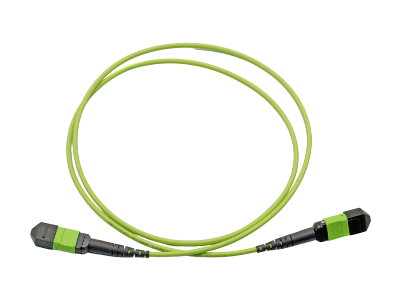 Low Loss MPO Patch Cord